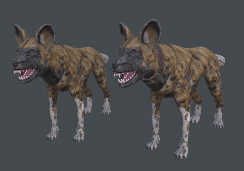 Two fully textured 3D models of Savannah Wild Dogs in ZBrush