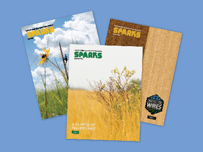 Lineworker fixing power lines