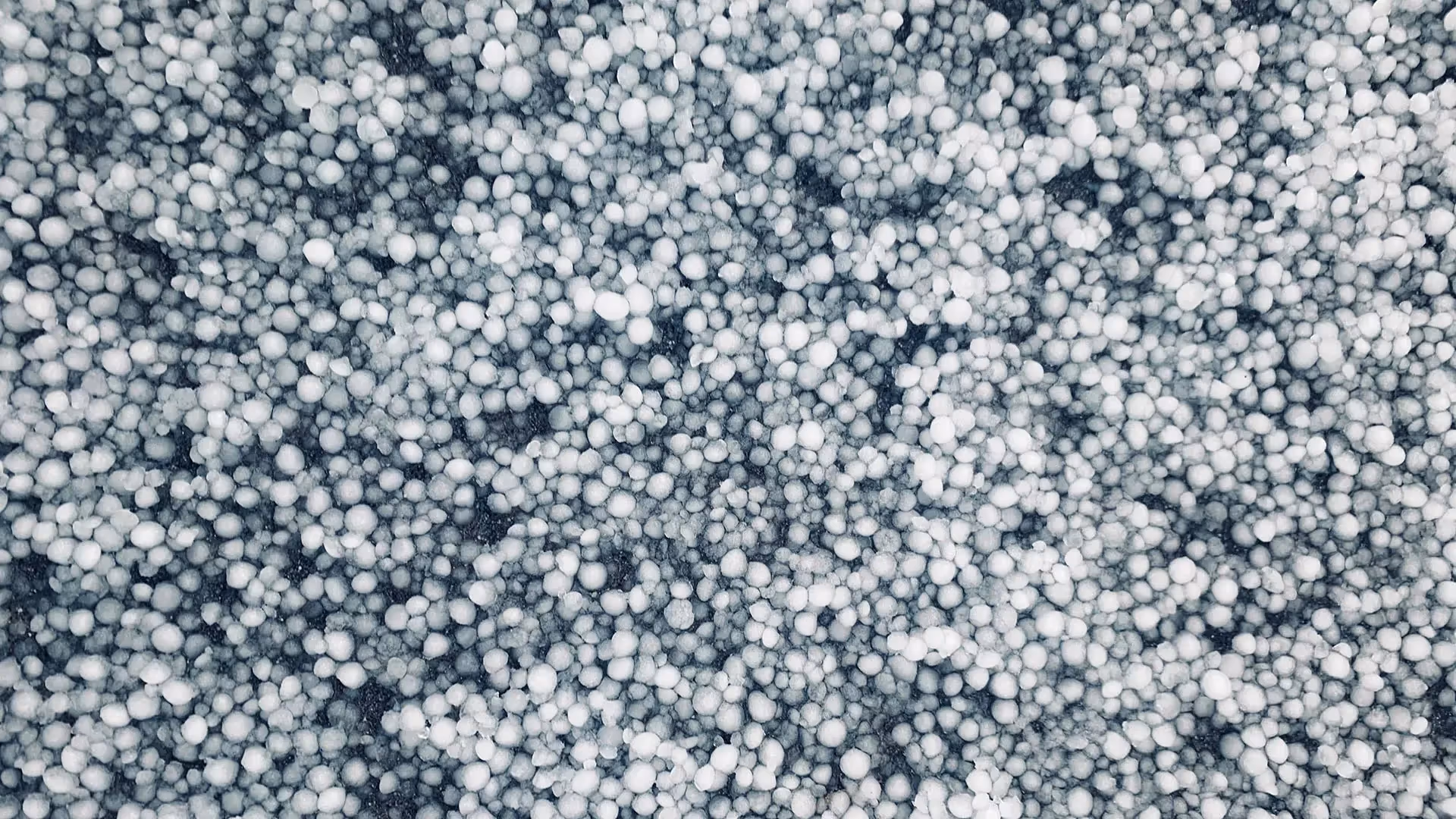 Storm damage to roof in central Illinois.