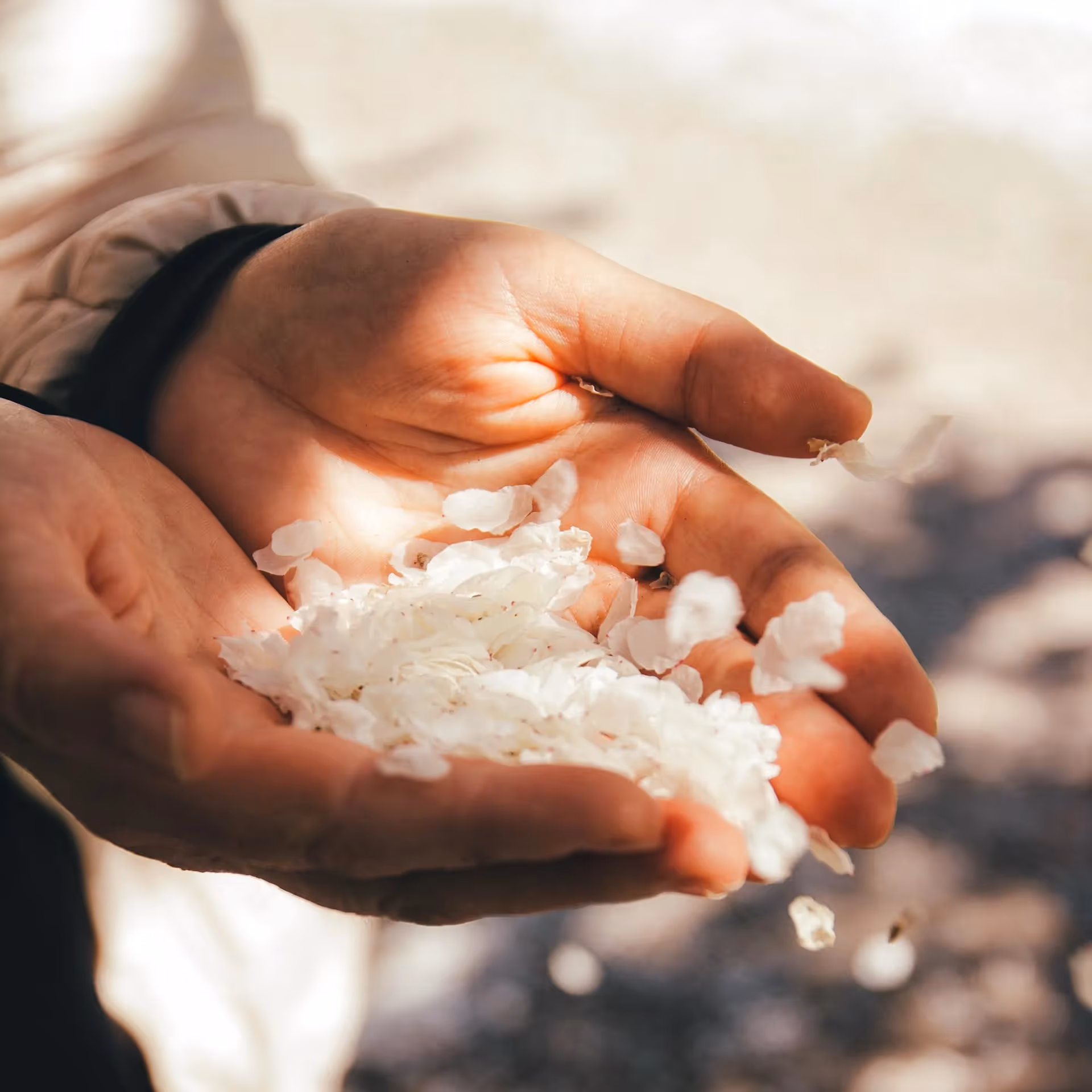 Storm damage to roof in central Illinois.
