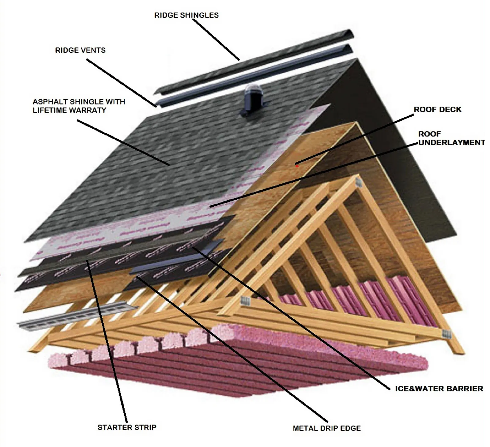 Residential roofing contractor -- shingle roof cutaway schematic