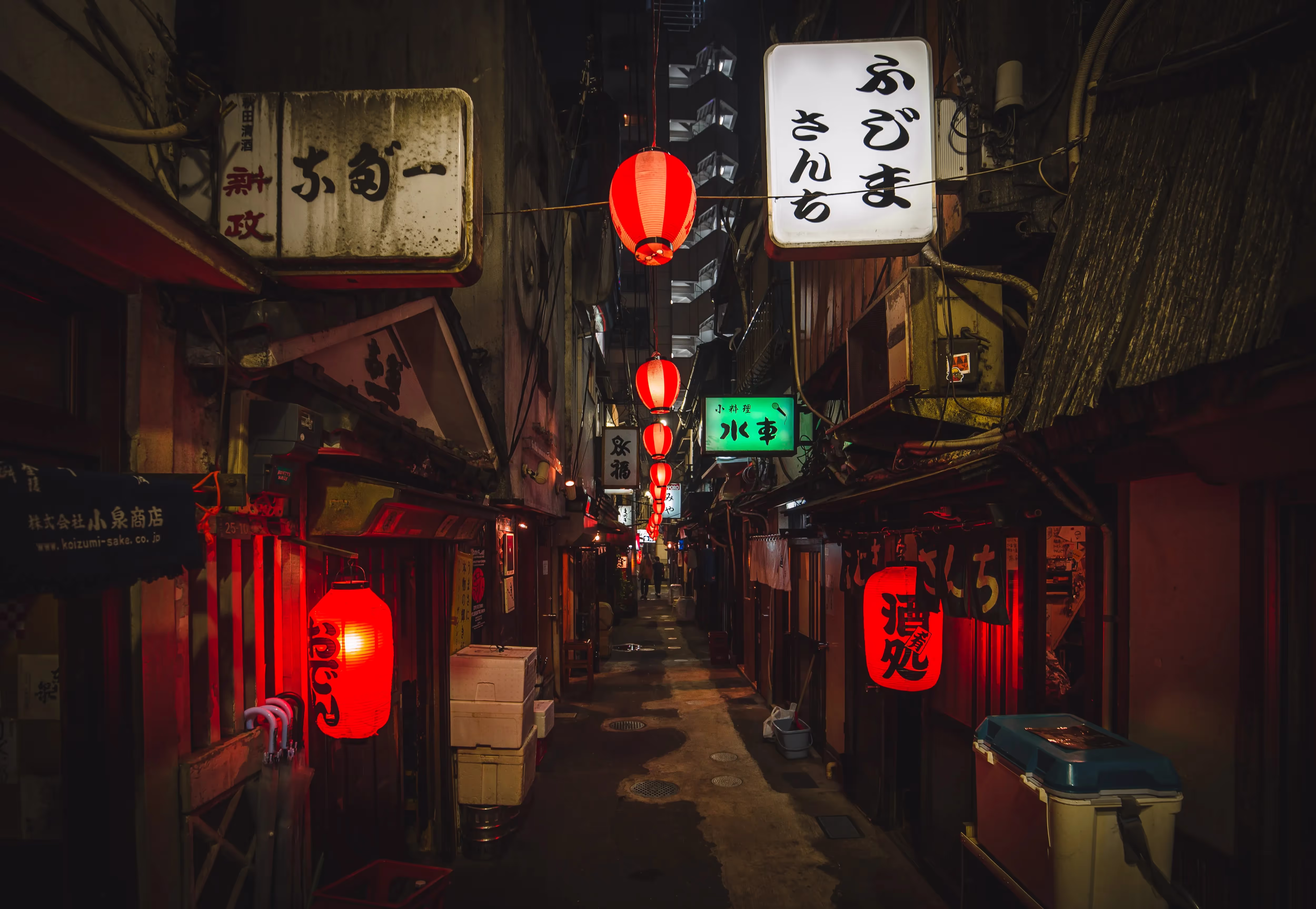 A street of Tokyo by night with paper lights.