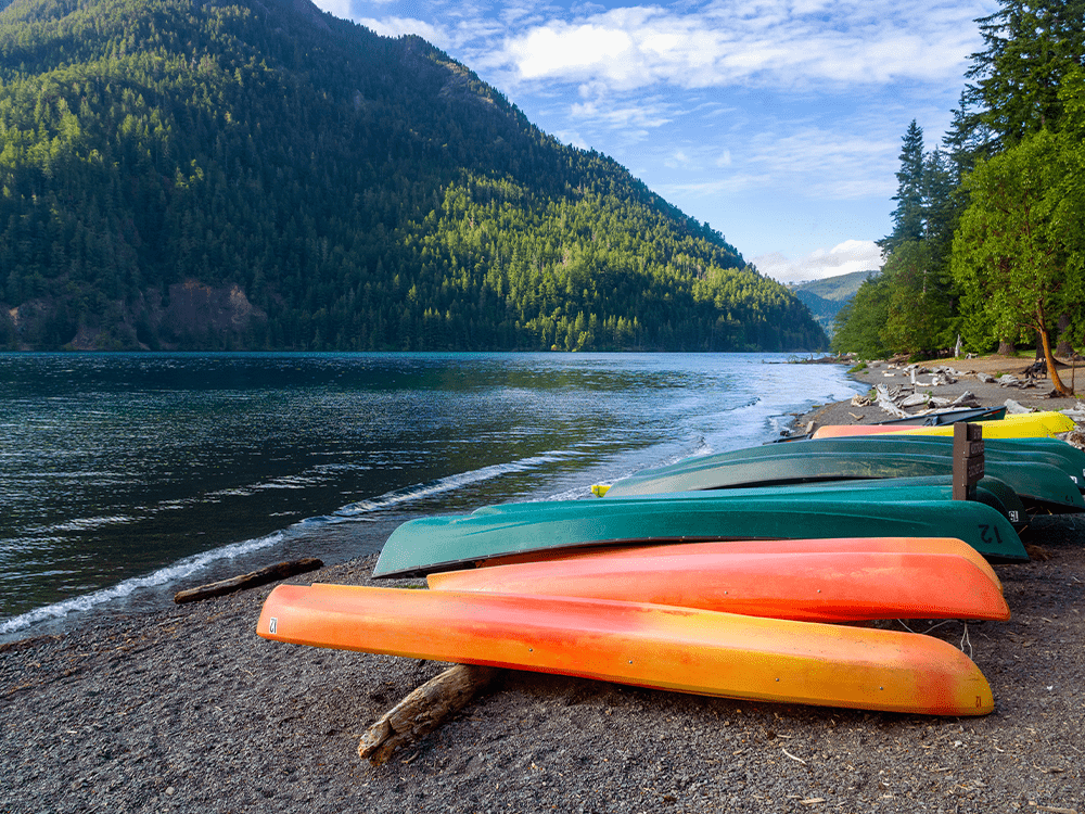 Best security solutions in Western Washington