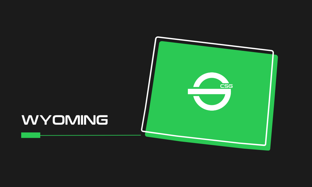 Best security solutions in Wyoming