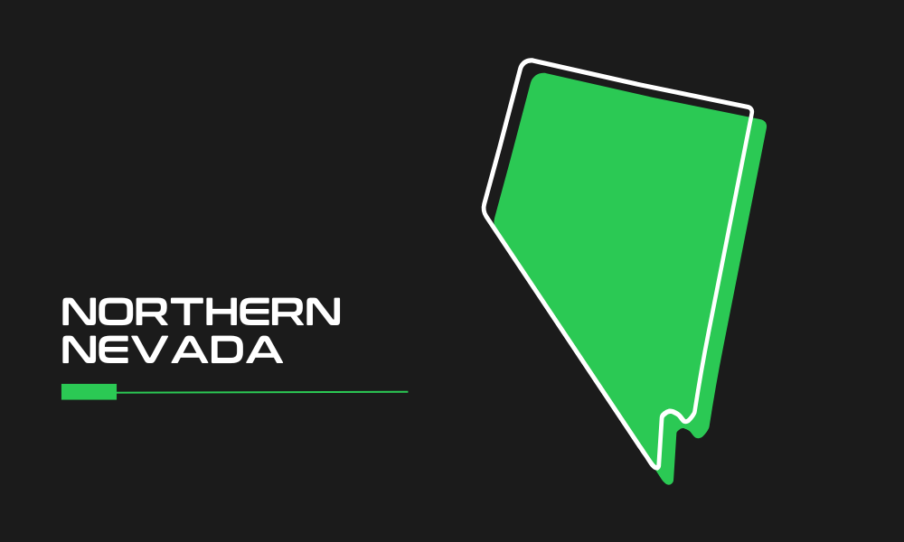 Best security solutions in Northern Nevada