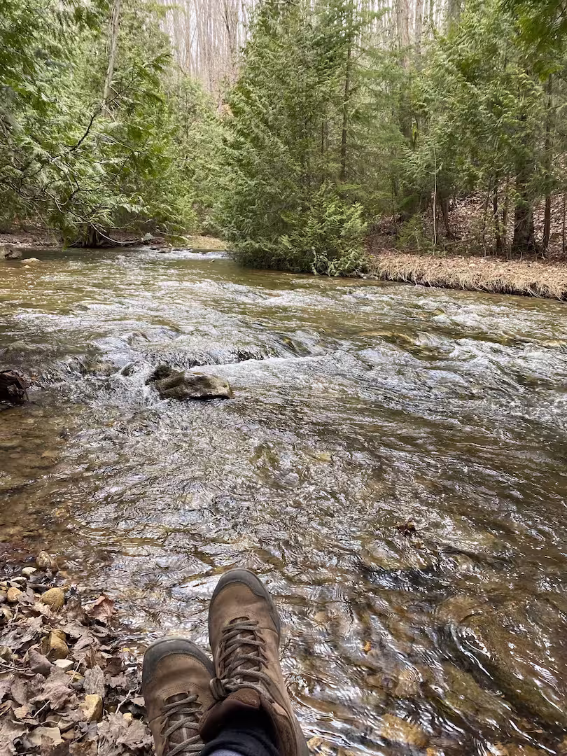A photo of a field at sunset or sunrise, with wildflowers in the foreground and an orange sky towards the horizon, fading up to deep blue higher.