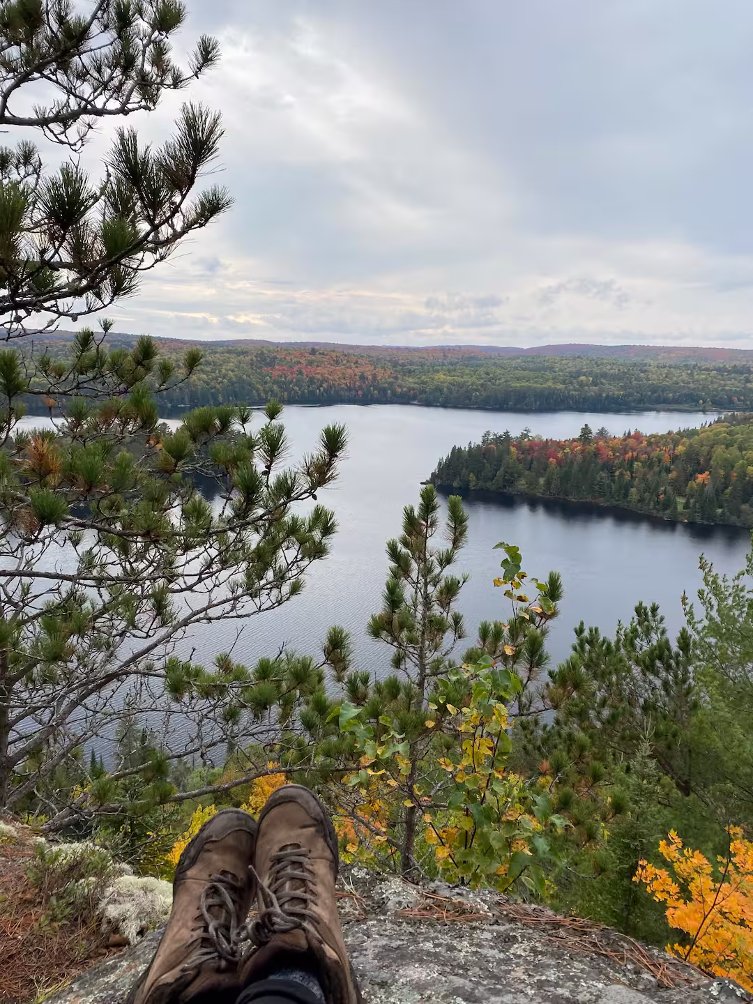 A photo of a field at sunset or sunrise, with wildflowers in the foreground and an orange sky towards the horizon, fading up to deep blue higher.