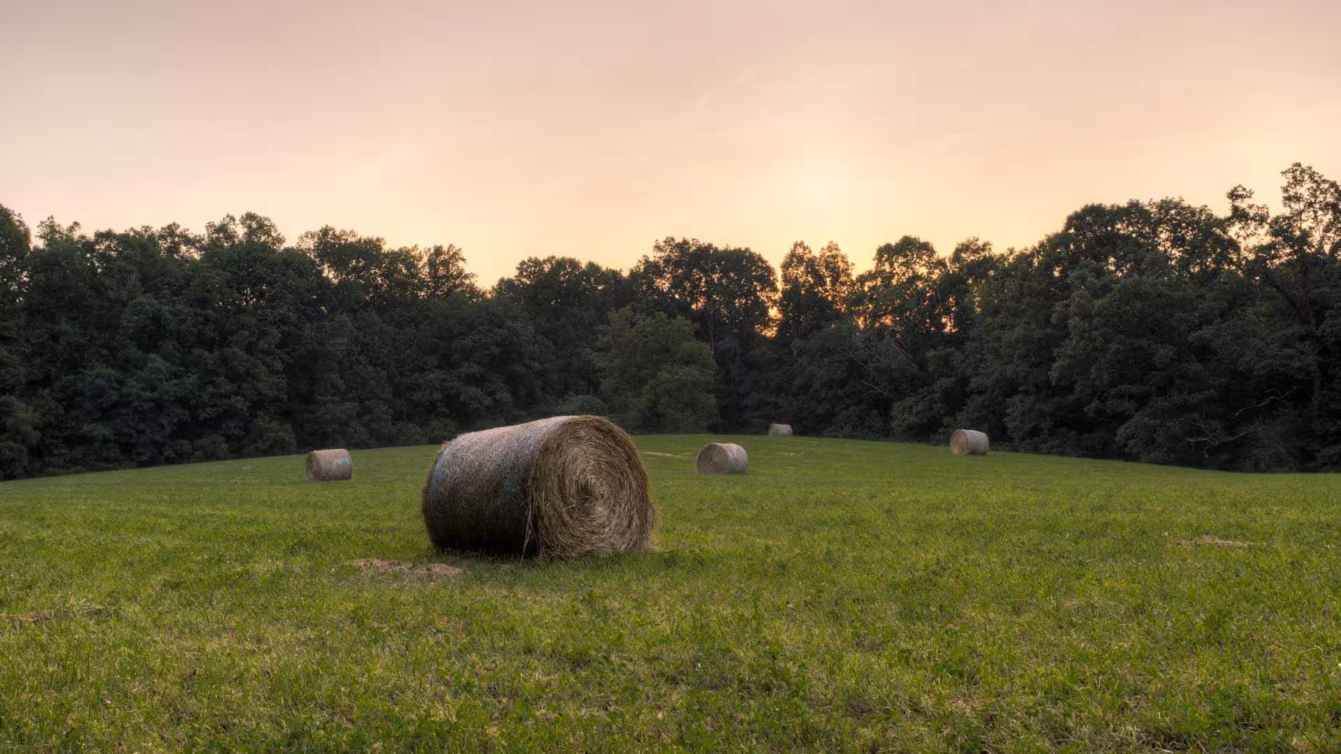A hay bale on a farmers field, with a tree line behind. Sun seems to be setting beyond the tree line.