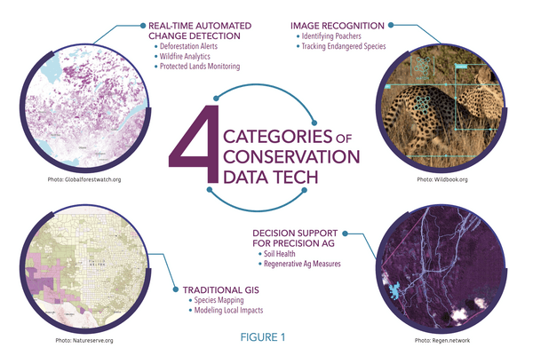 Illustration of 4 conservation categories