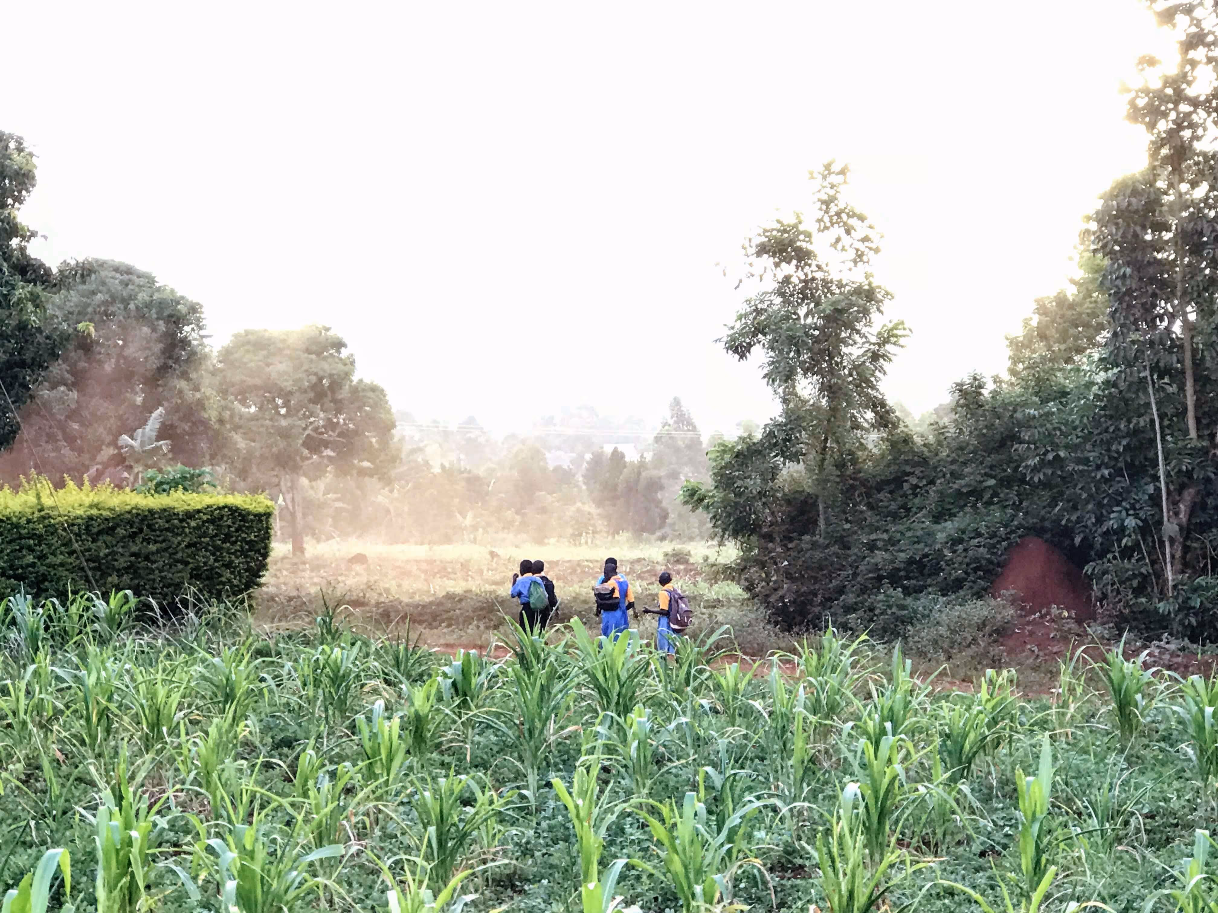 Uganda
