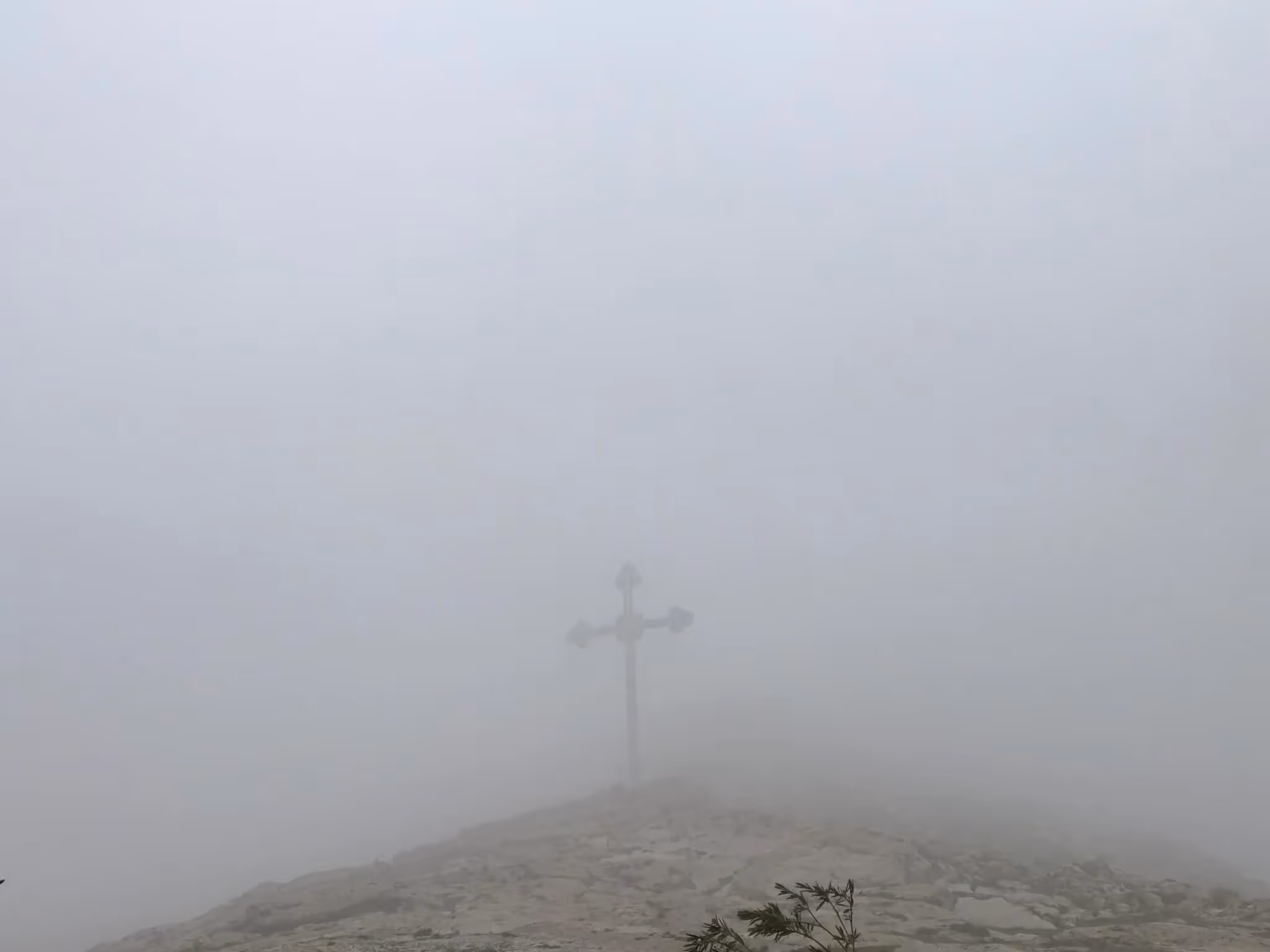 Christian and Missionary Alliance