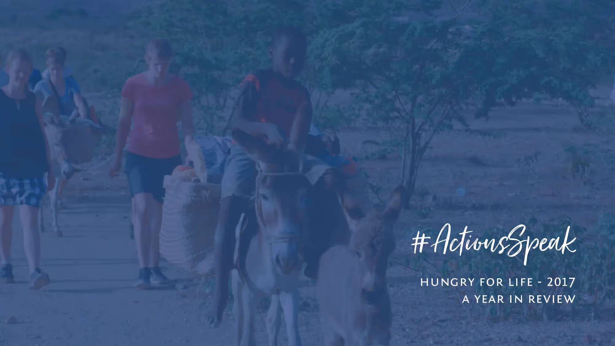 2017 - A year in review