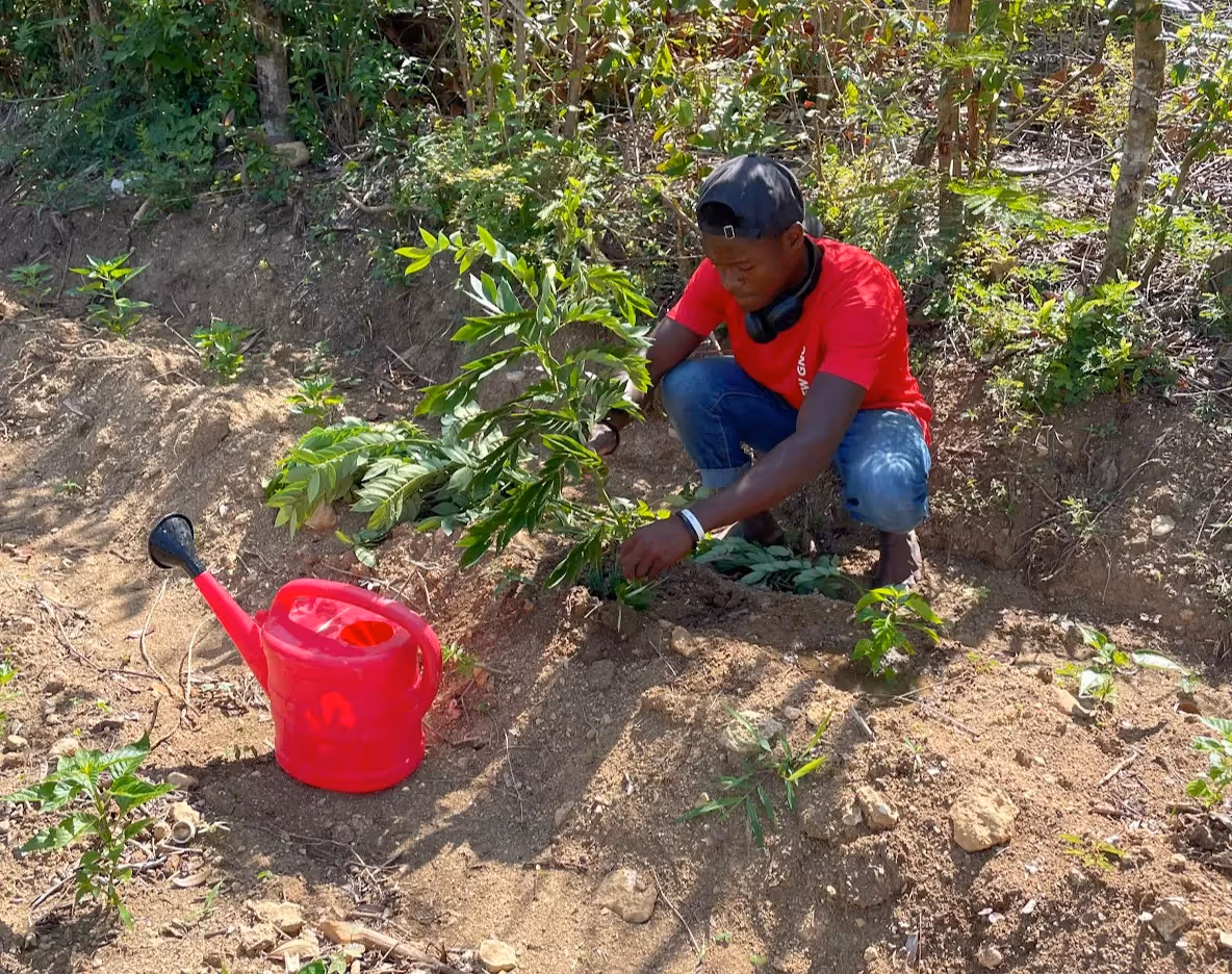 Agricultural development