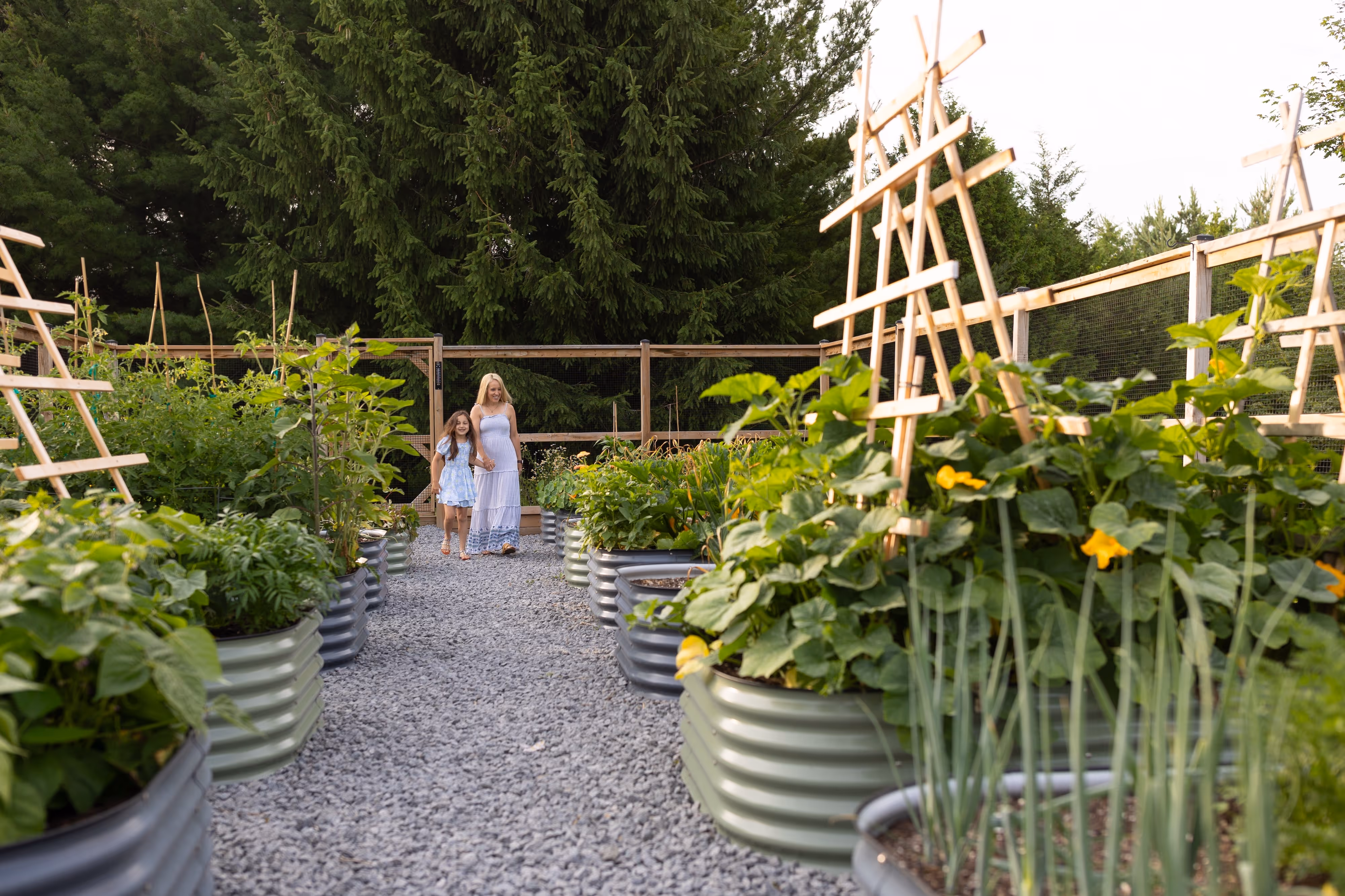 Sproutbox Garden
