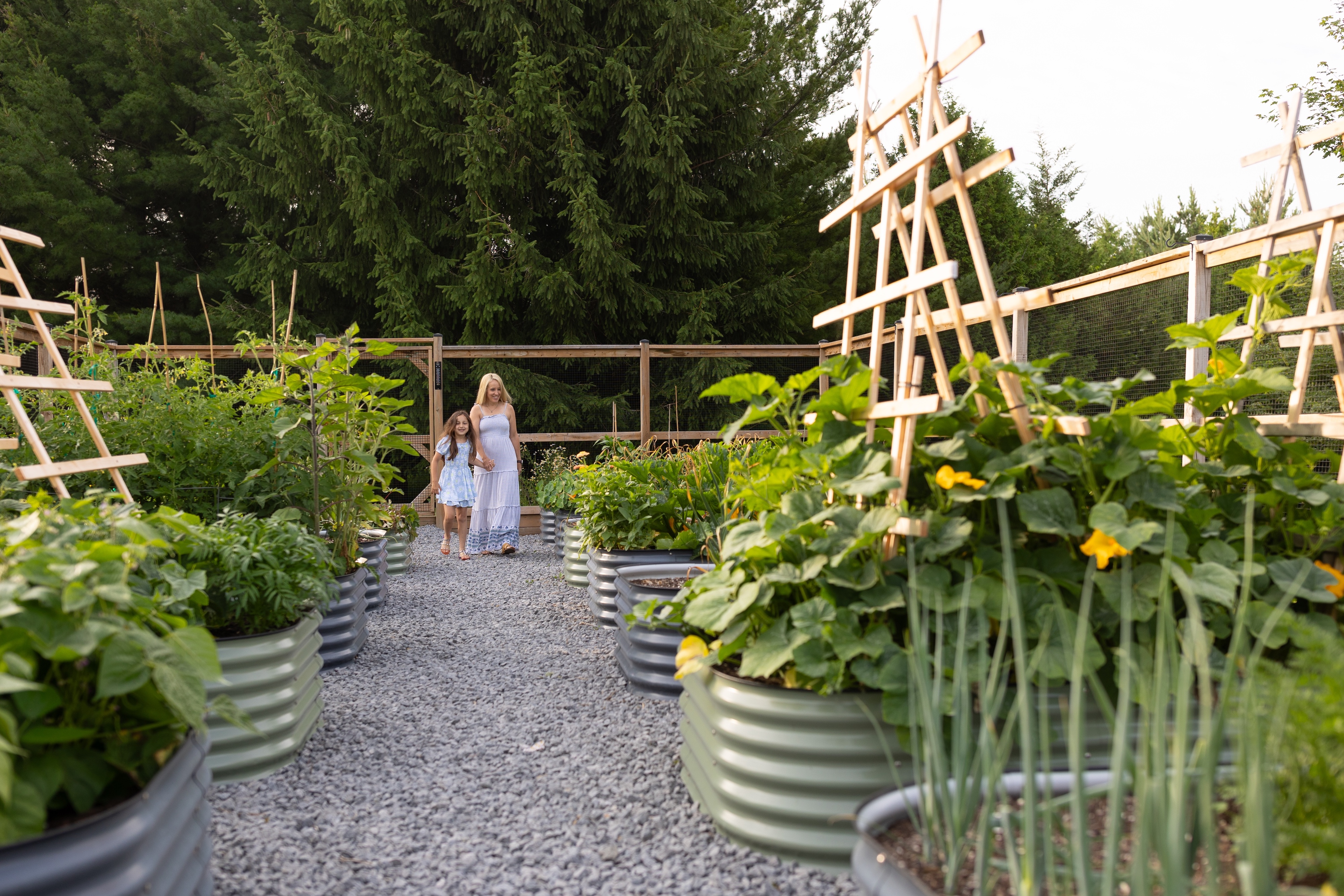 Sproutbox Garden