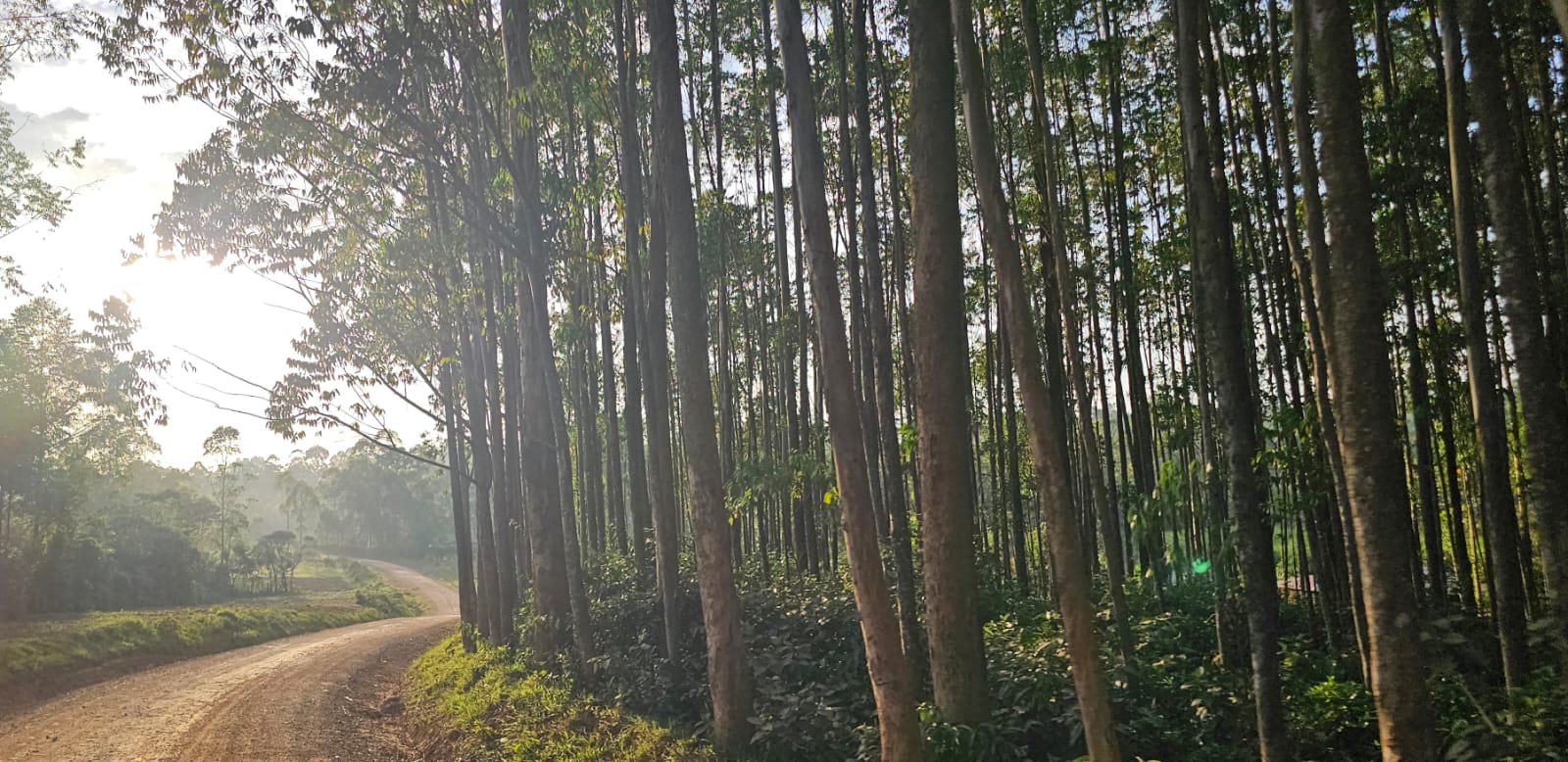 Mud will wash off - The memories will last forever!