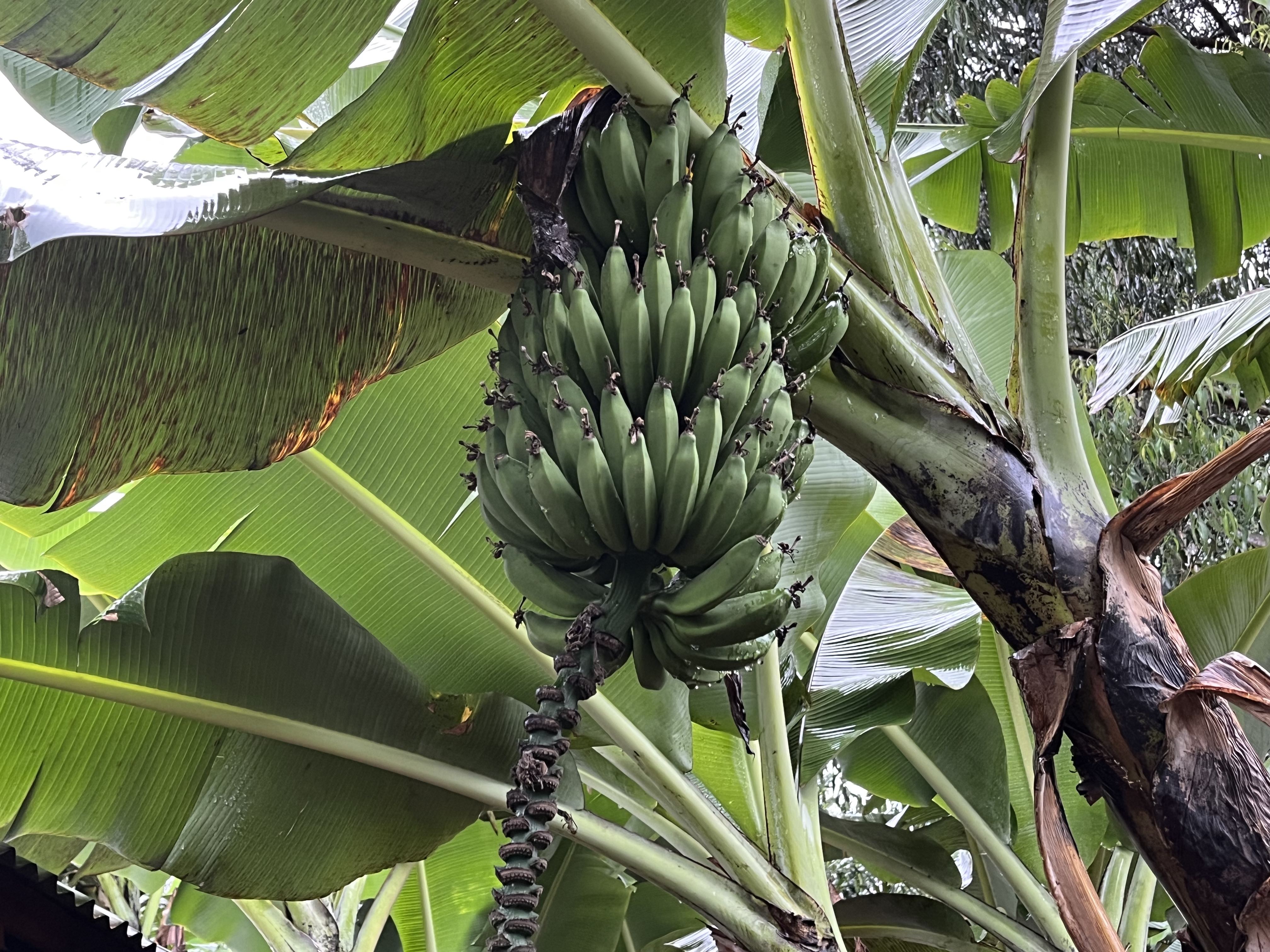 Arrived in Kakamega and Went Slip-Sliding on some visits