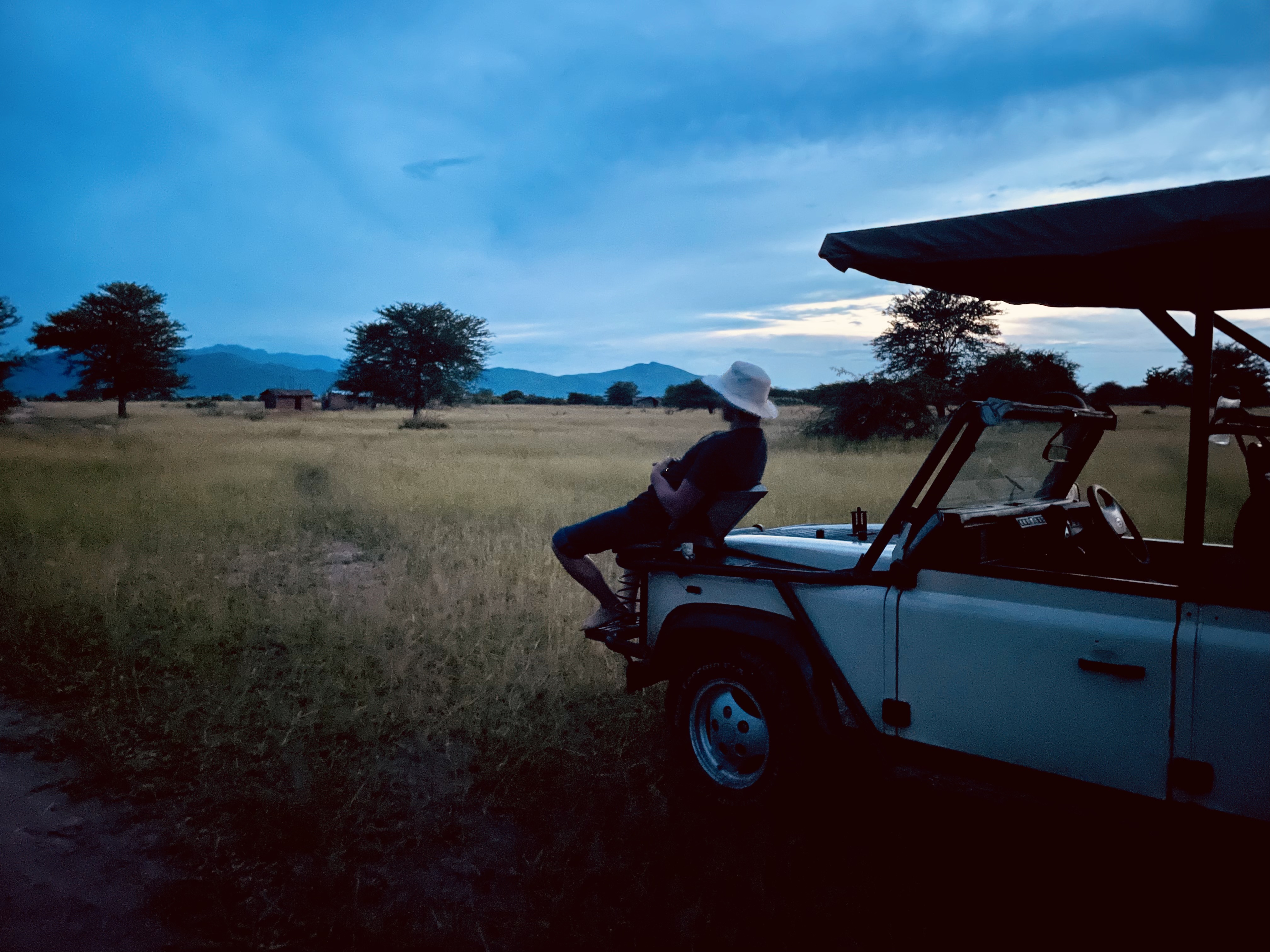 Adventures in the Swamp