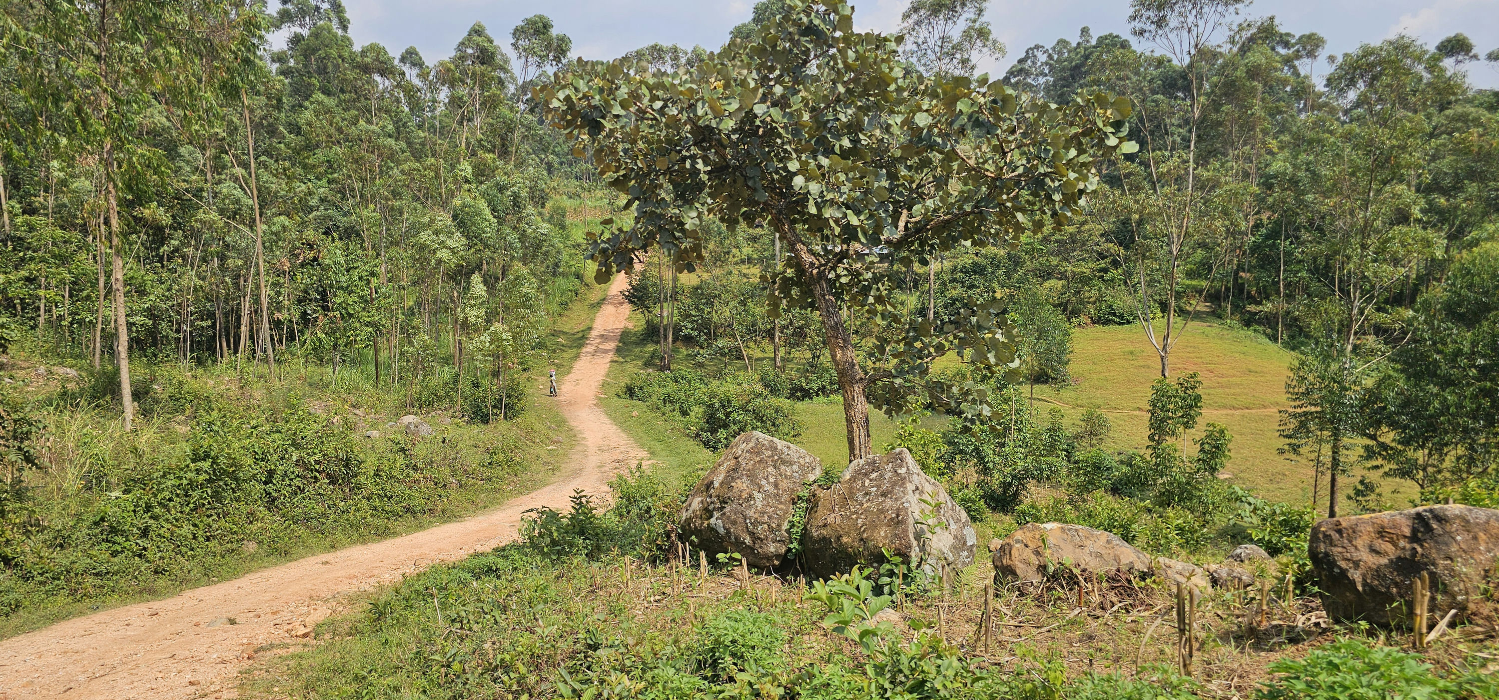 Another Year, Another Trip🇰🇪