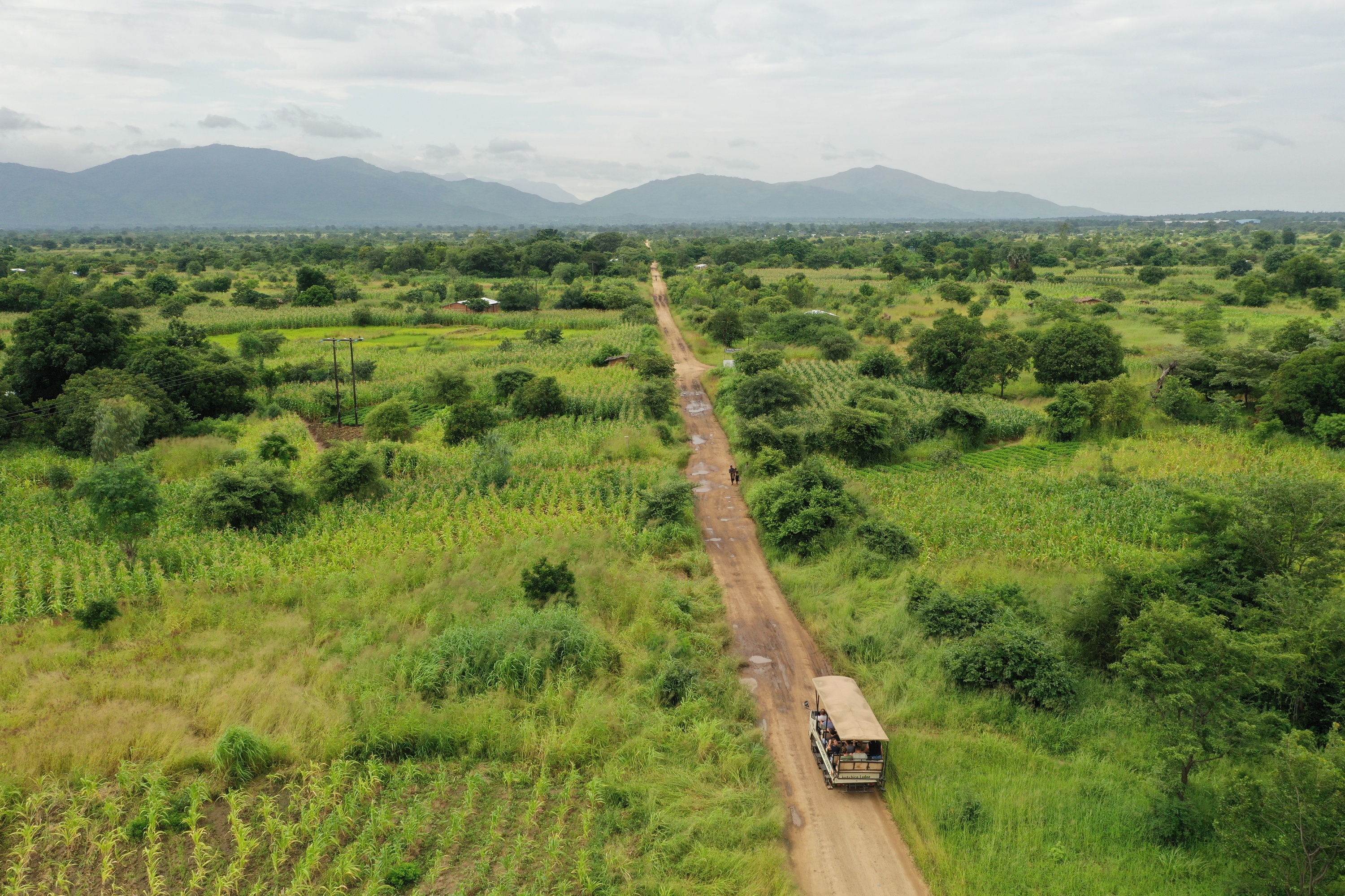 Sunrise Safari