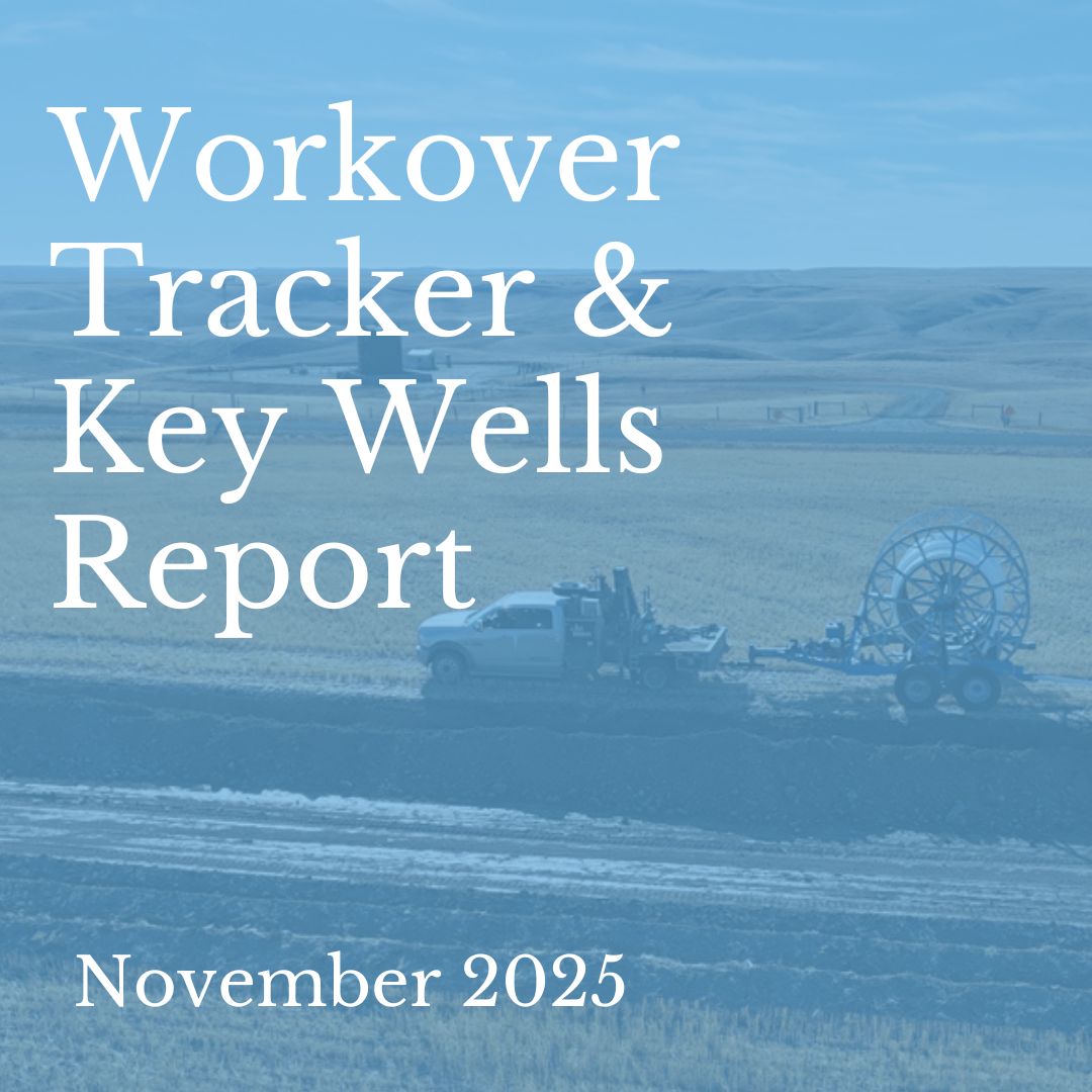 November 2025 Report