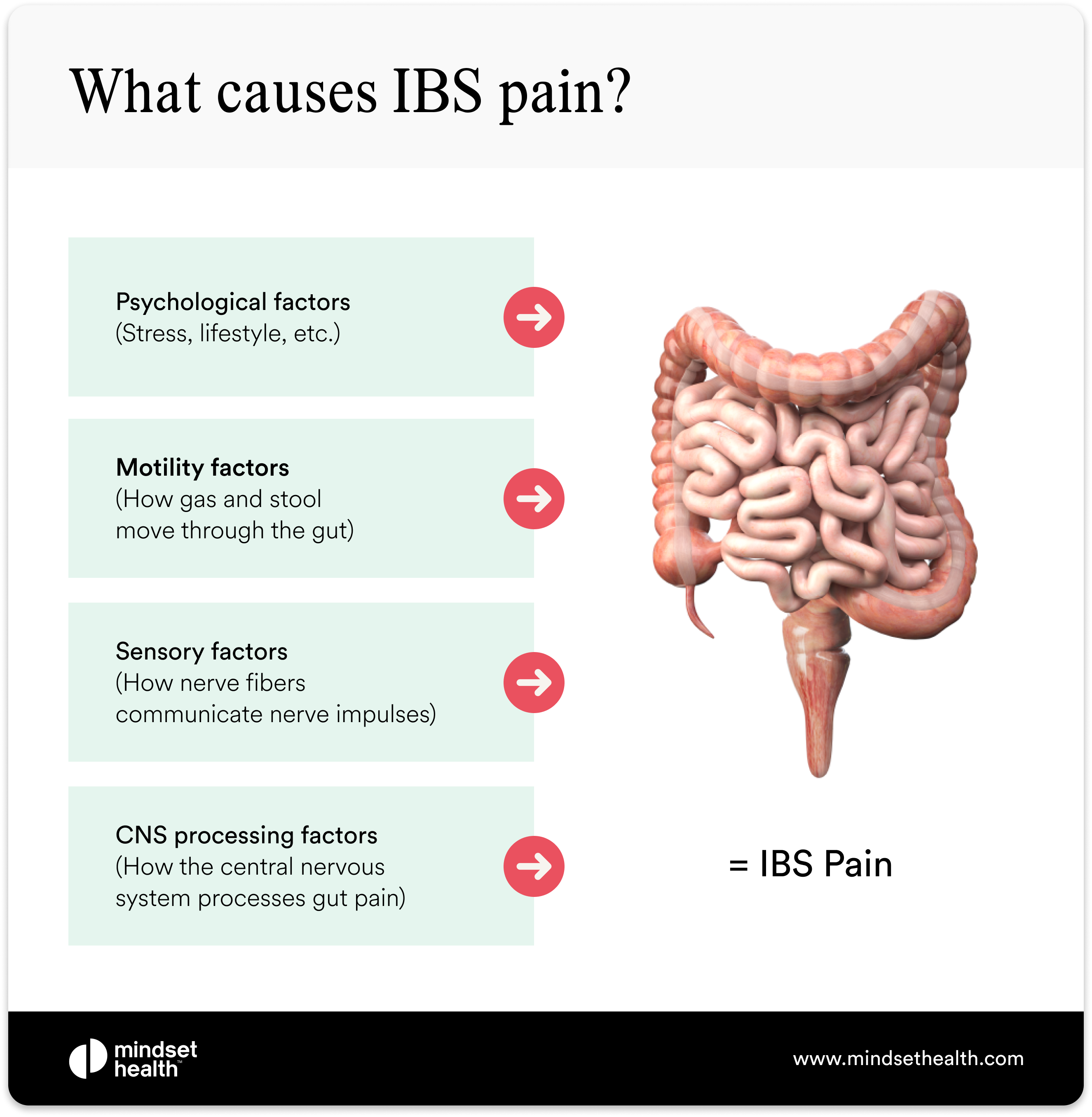 Infographic showing the causes of IBS pain with labeled factors including psychological factors such as stress and lifestyle, motility factors affecting gas and stool movement, sensory factors involving nerve signals, and CNS processing factors related to how the brain interprets gut pain, alongside a 3D image of the human digestive system