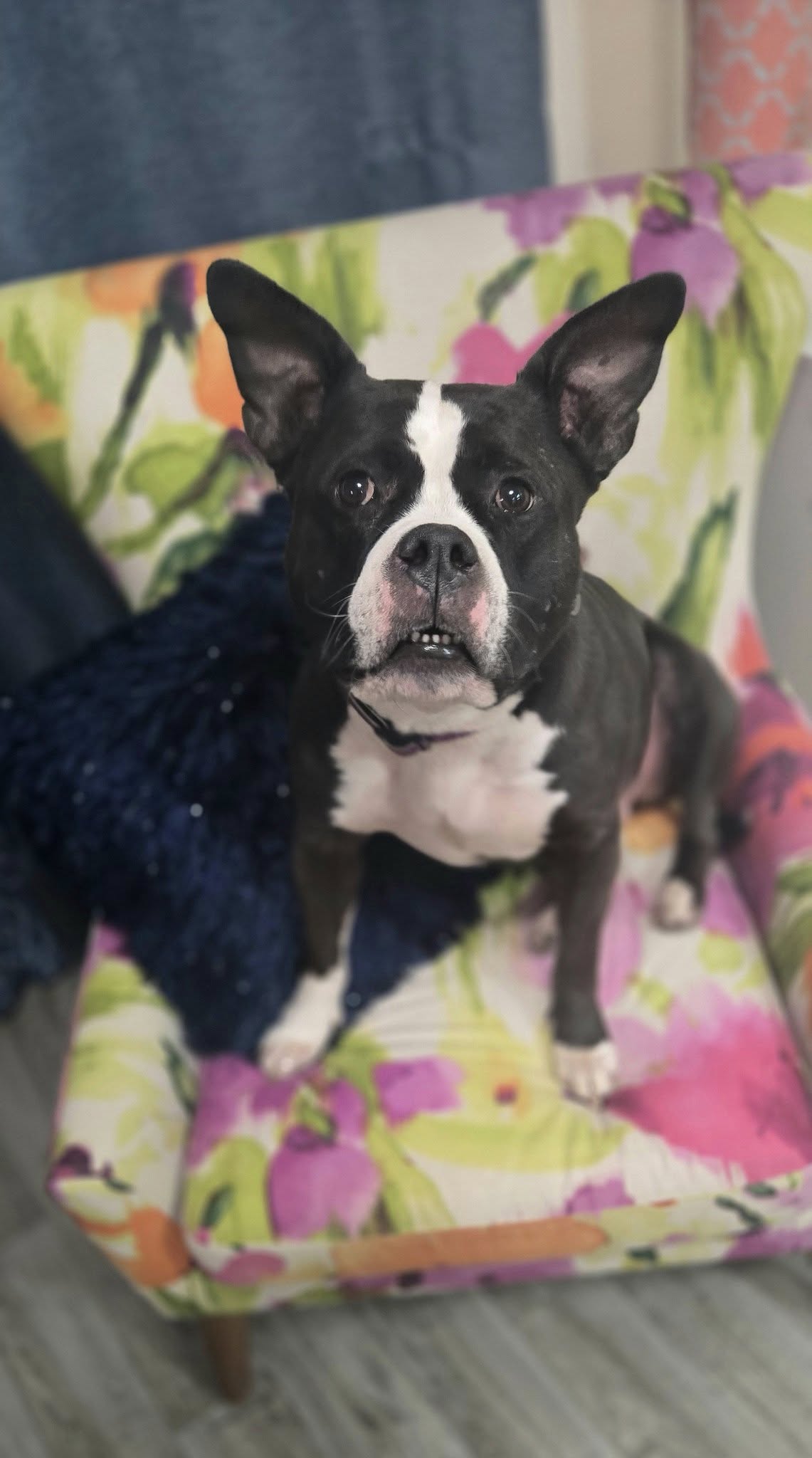 Zoey