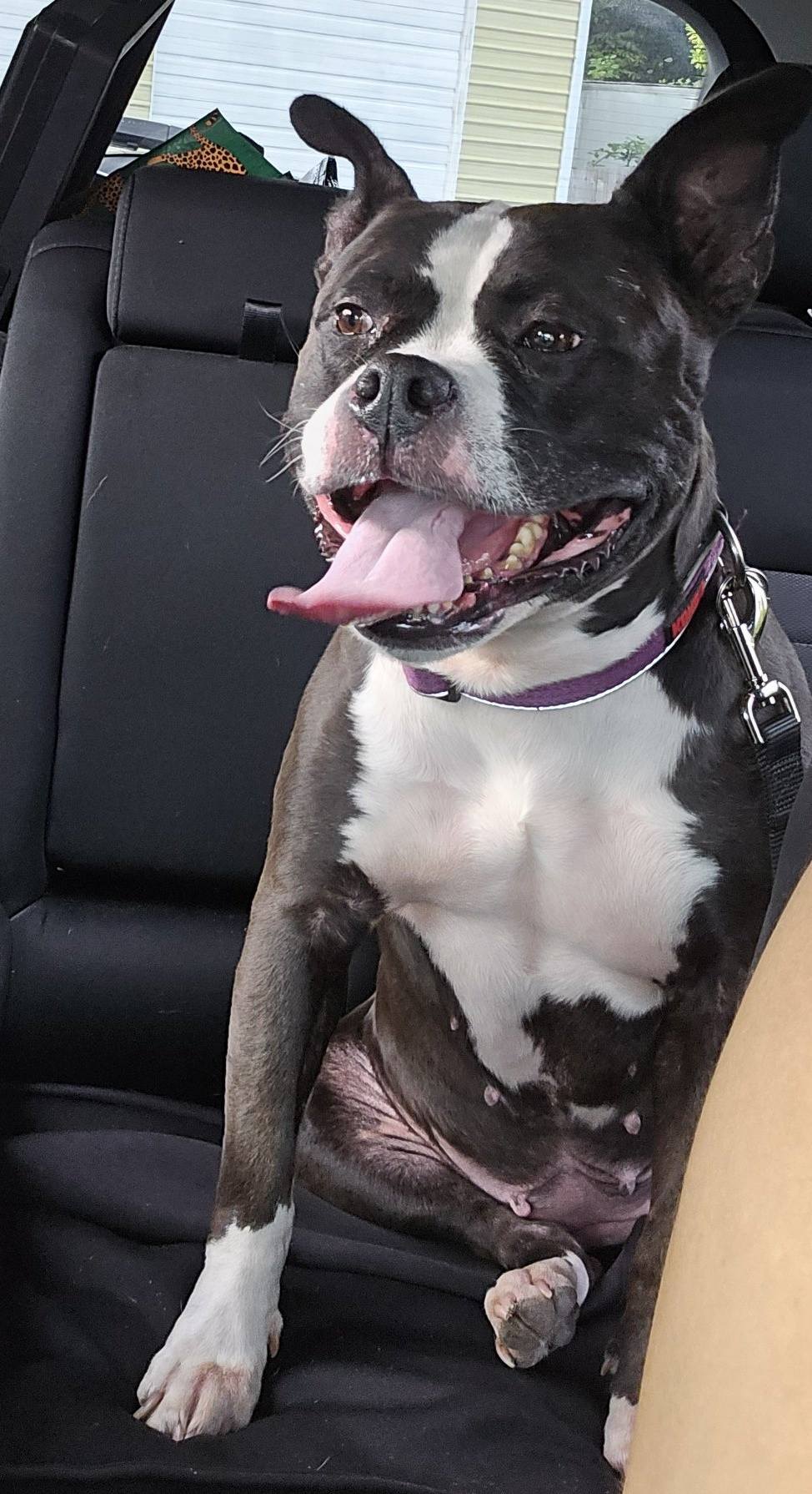 Zoey