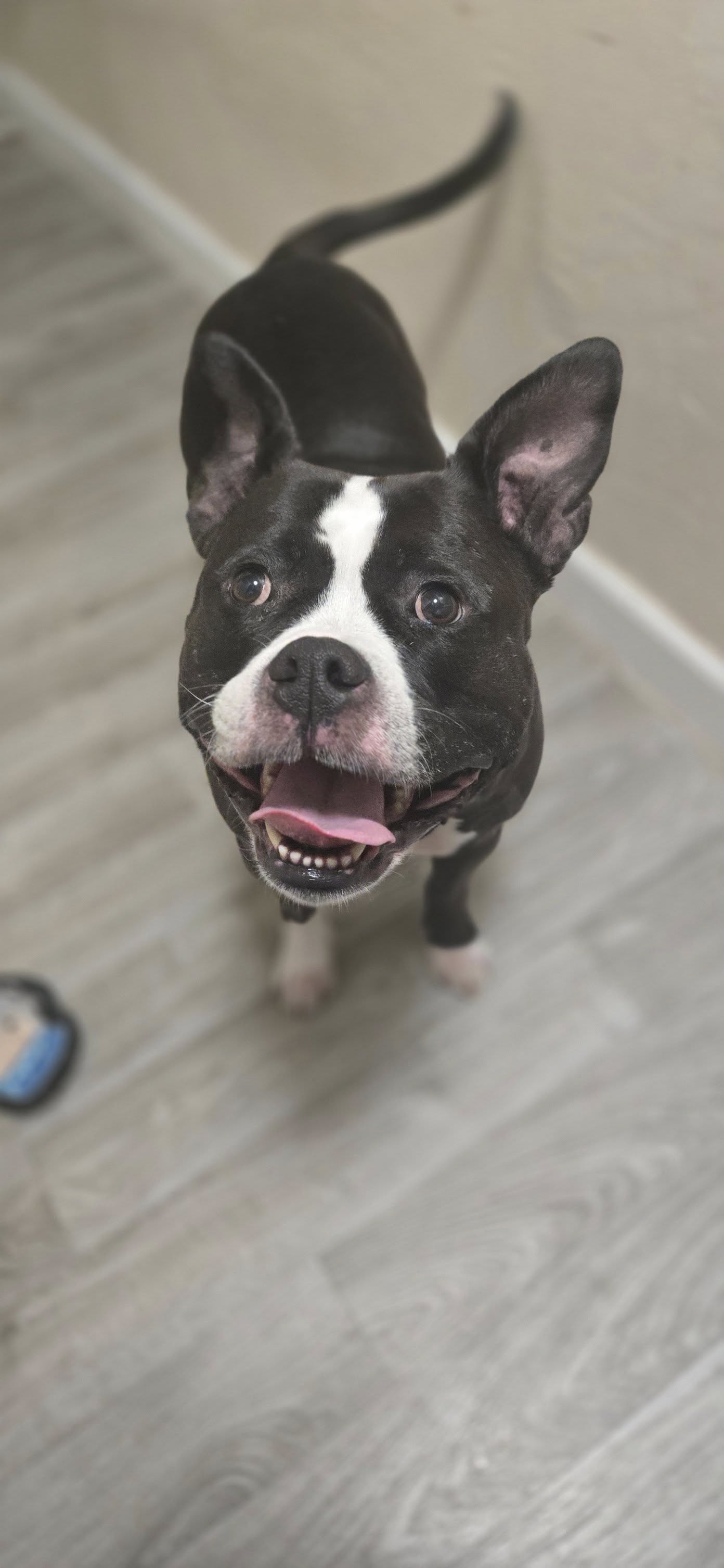 Zoey