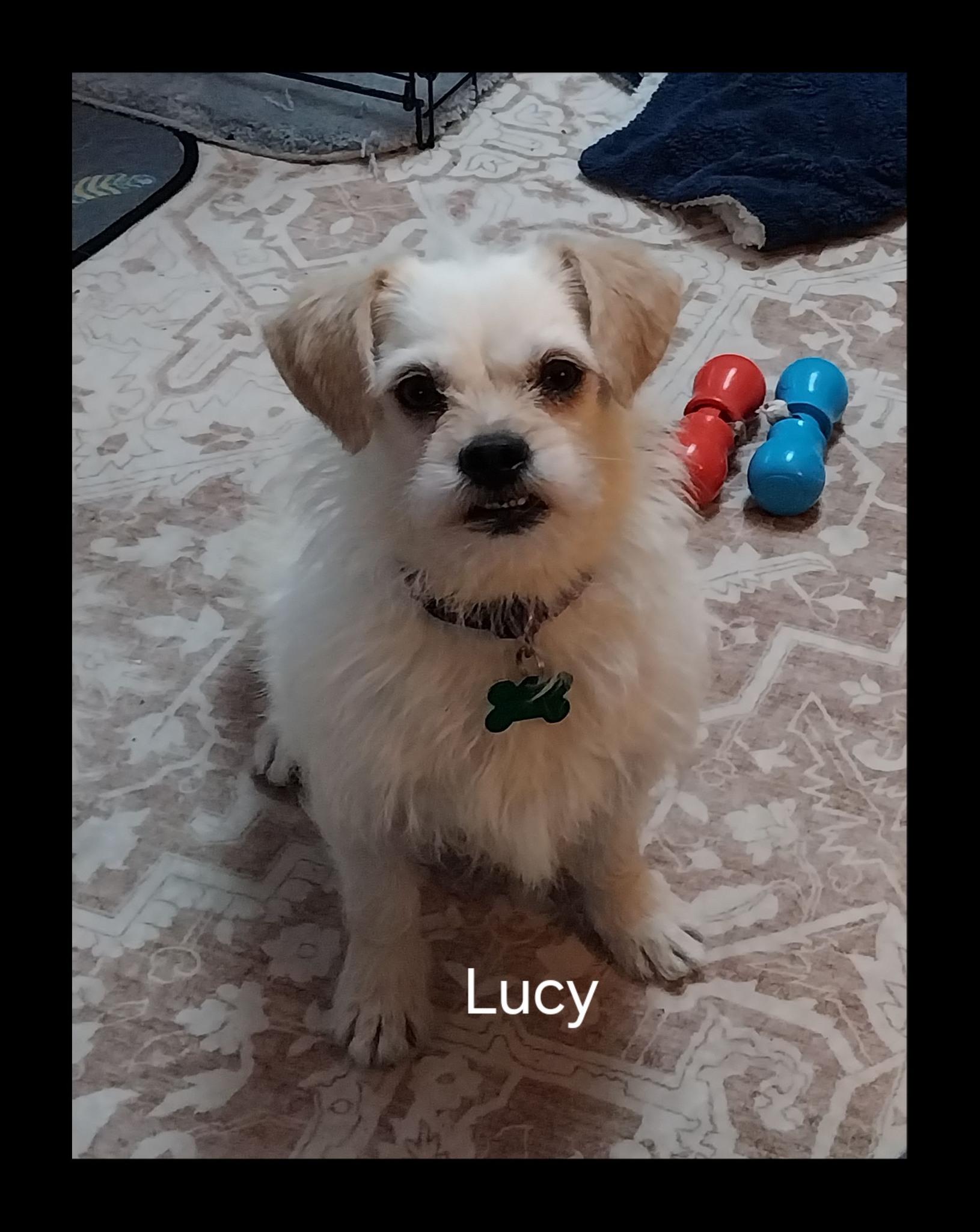 Lucy