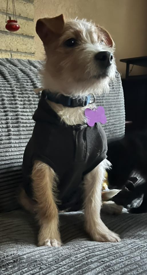 Jett