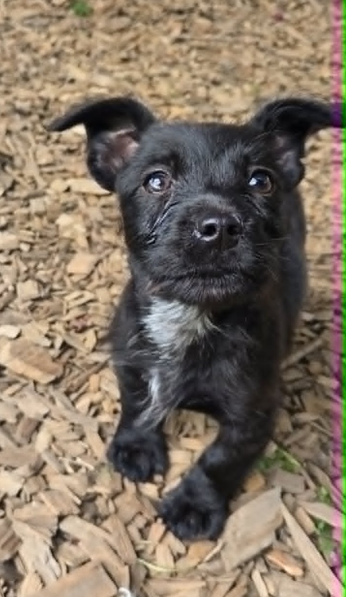 Theodore