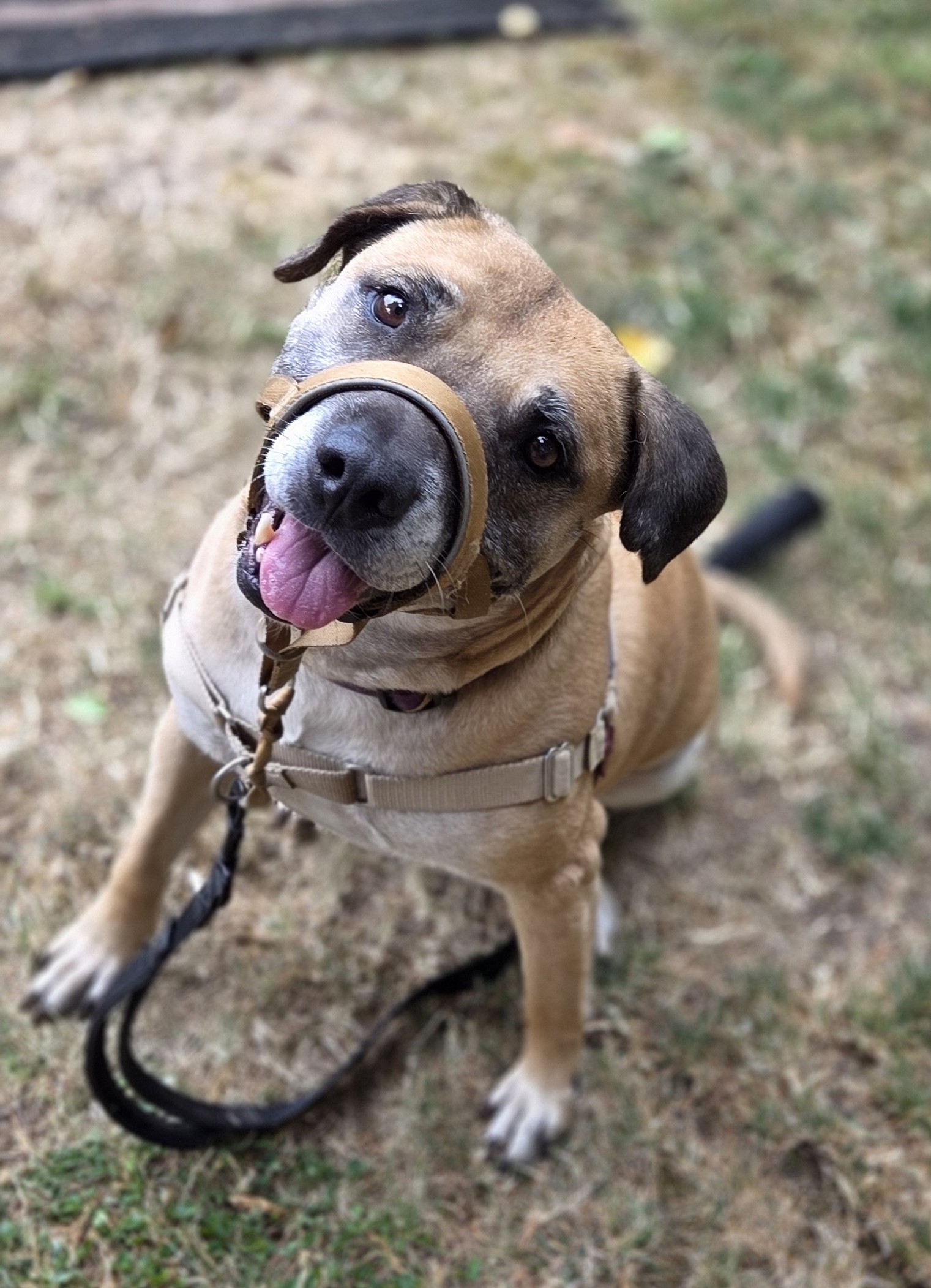Molly