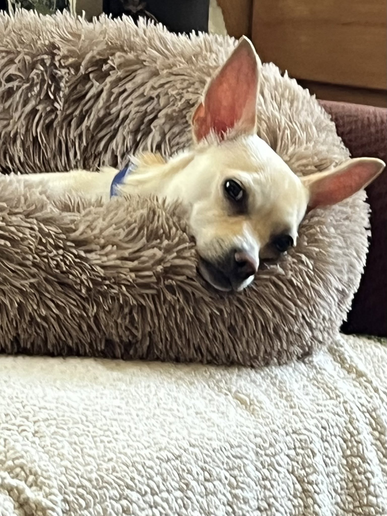 Hera