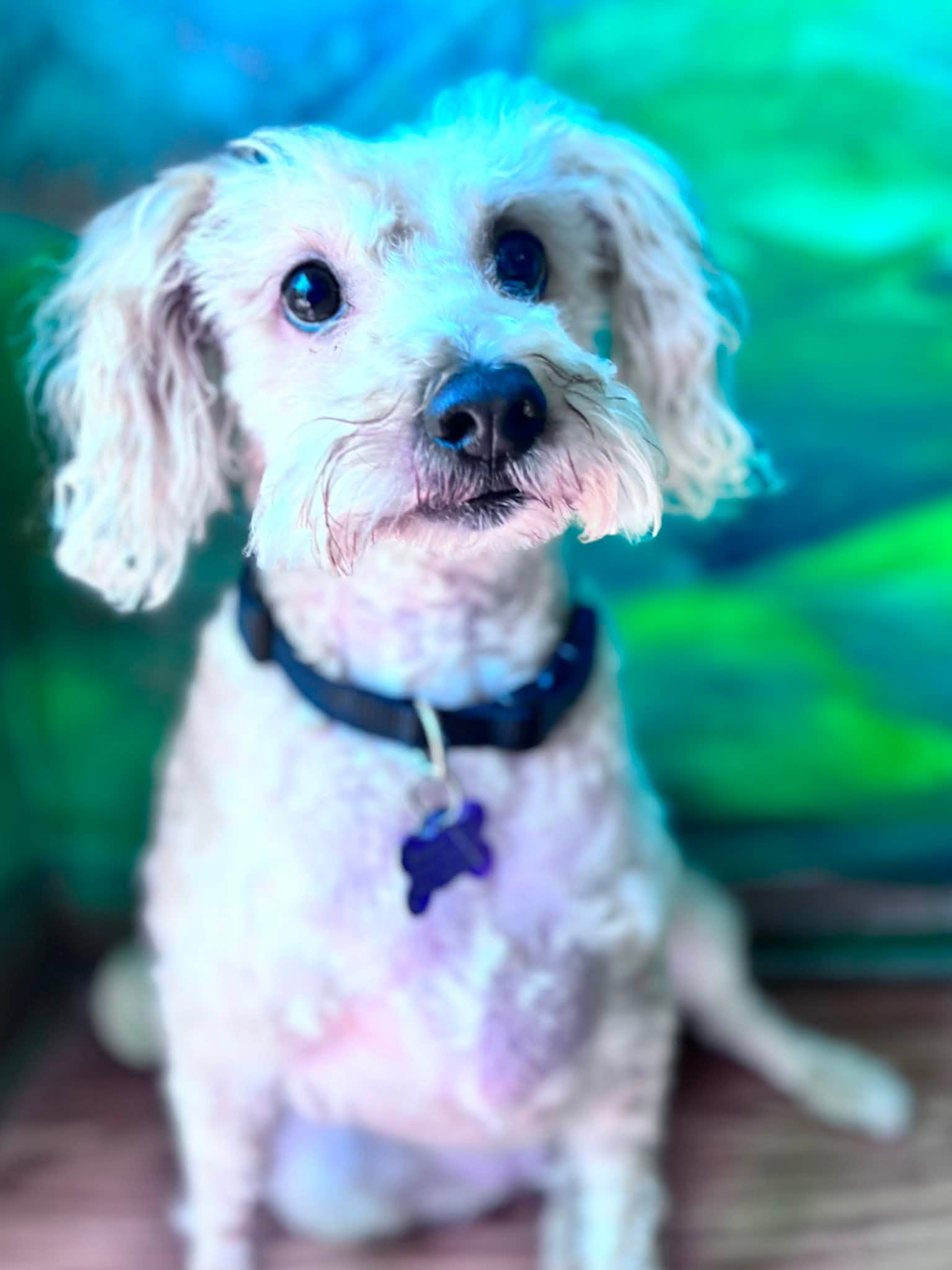 Caspian