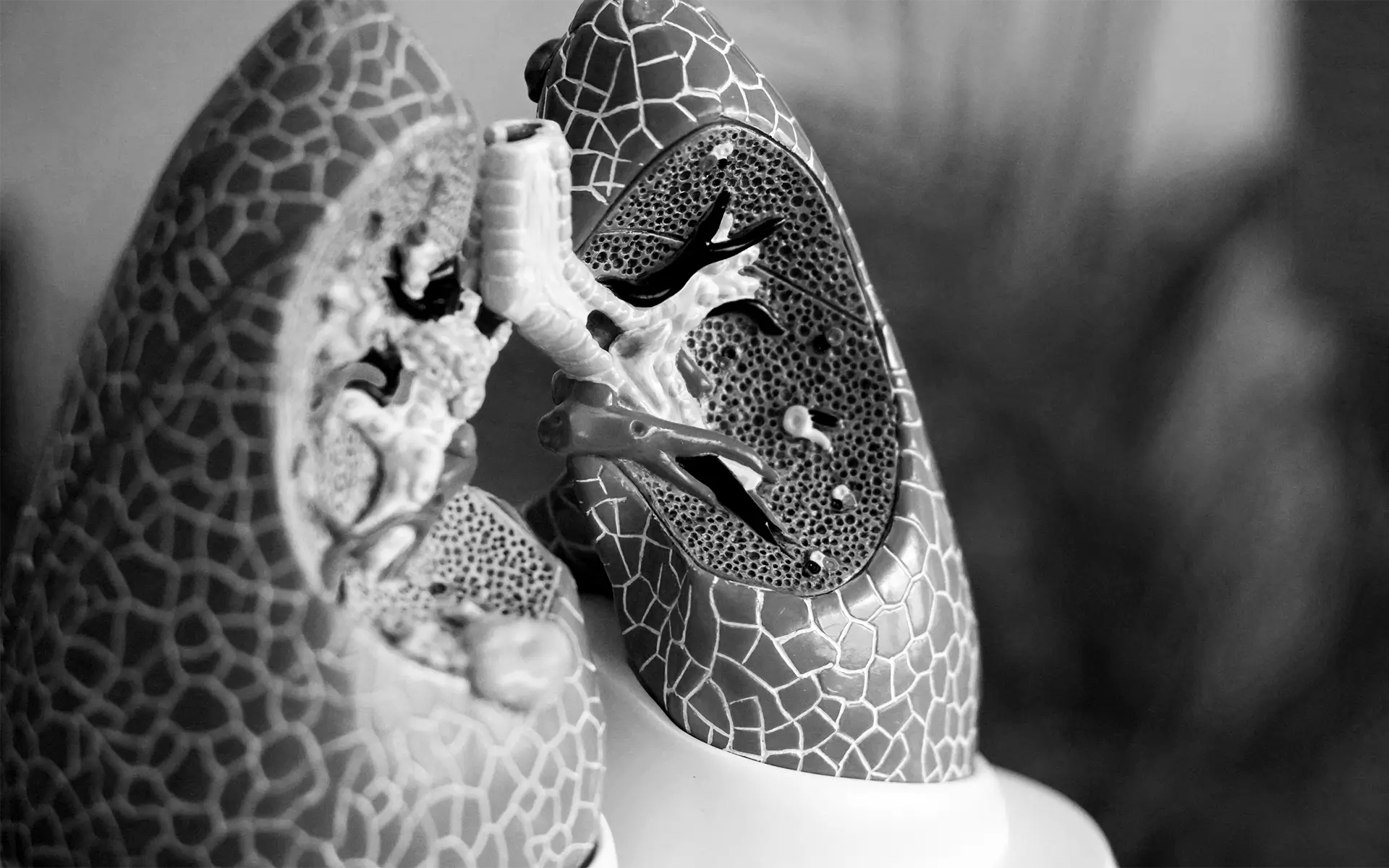 PepTalk Keynote Speaker