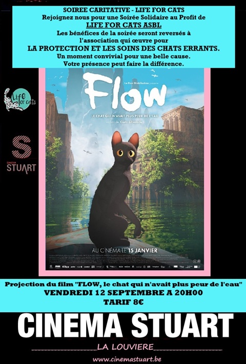 SOIREE CARITATIVE - FLOW
