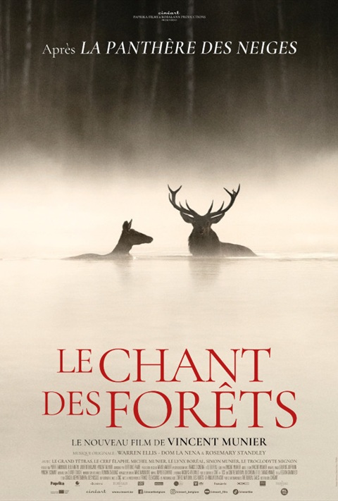 LE CHANT DES FORÊTS