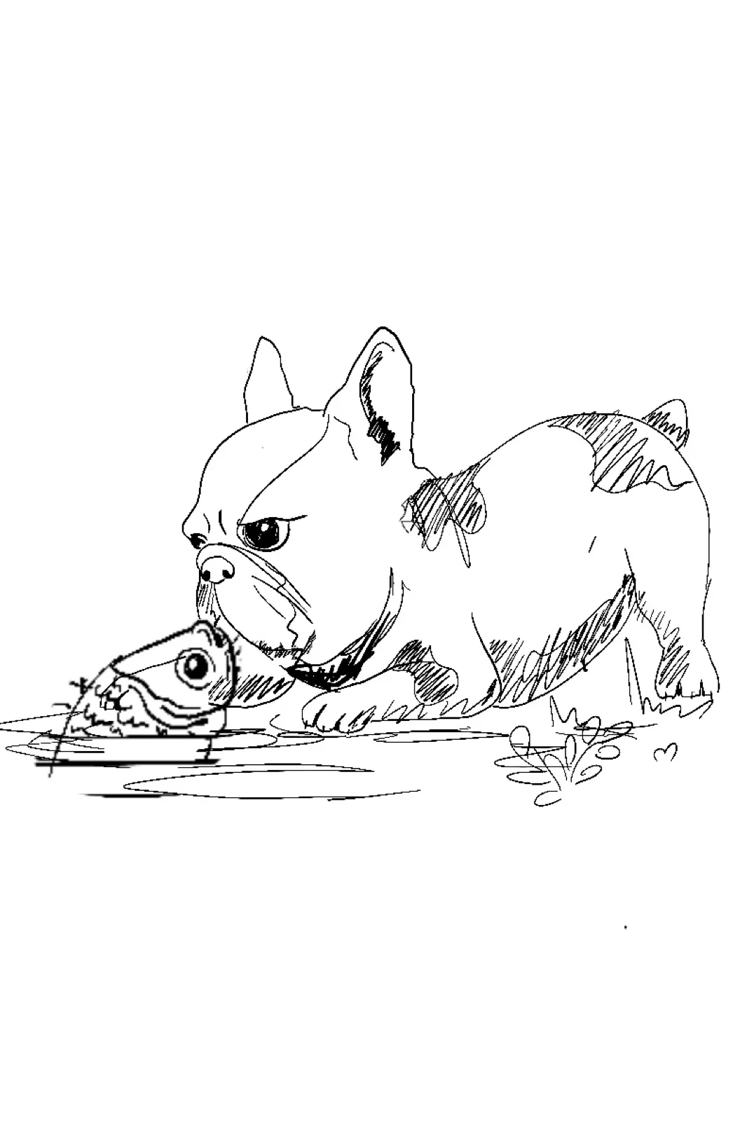Pencil sketch of a dog lying down for an ABC dog book