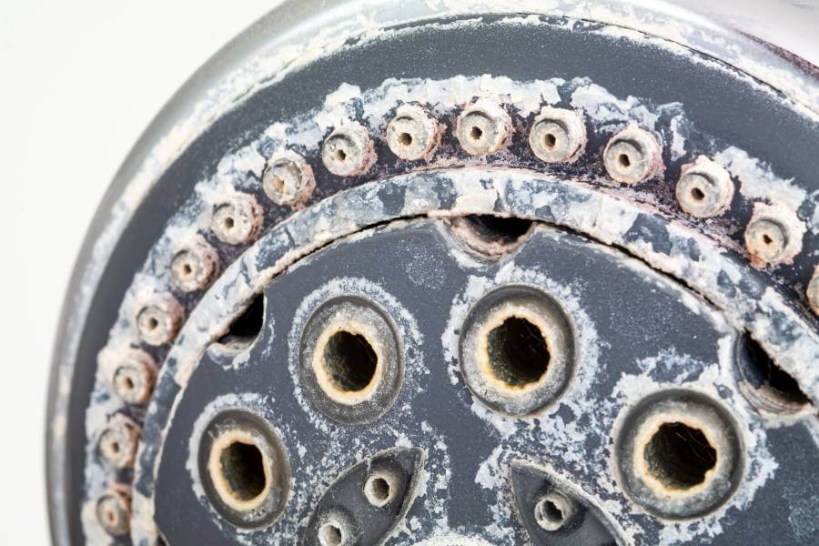 Showerhead clogged with hard water deposits