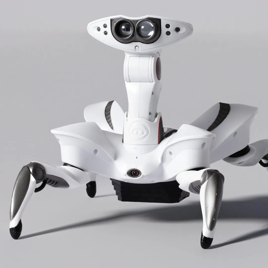 Robotic Worlds – Mensch und Maschine