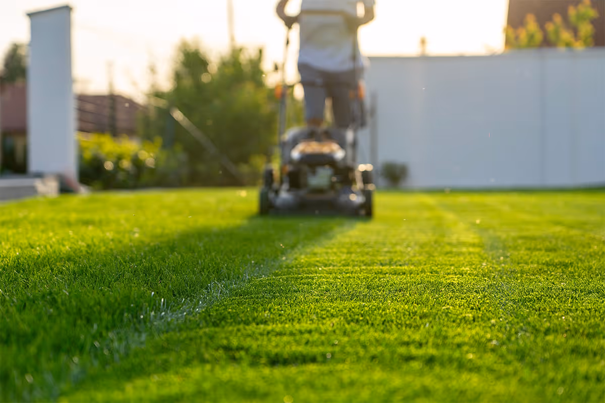 Lawn mowing as part of routine maintenance.