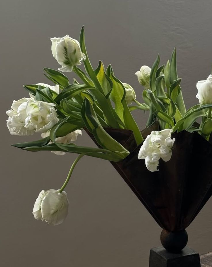 8 Winter Flowers That Bloom More Beautifully When the World Turns Still