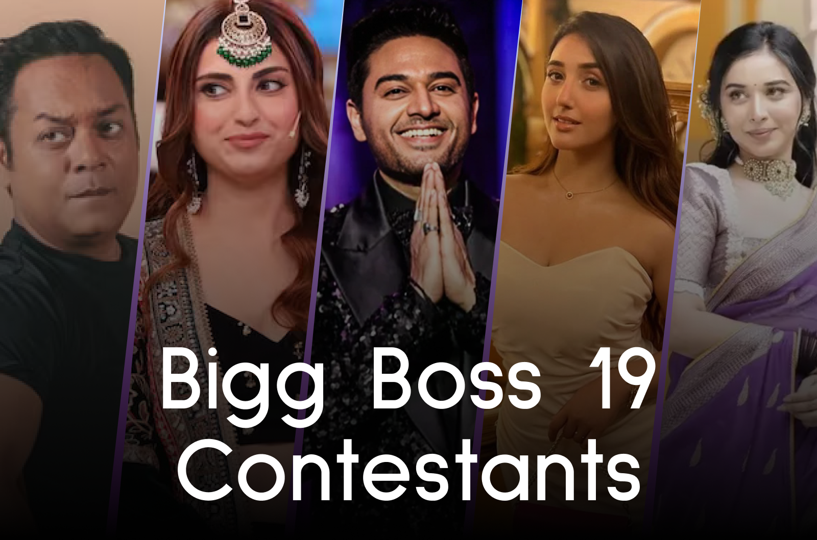 big boss 19 contestants 