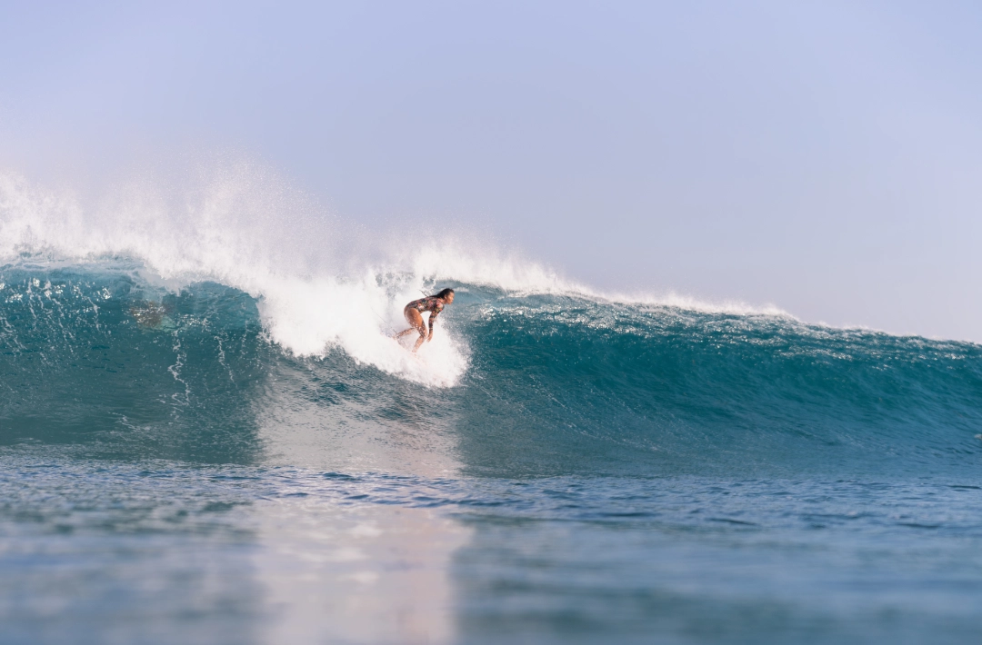 Roate island wave surfer