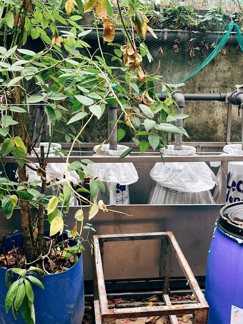 Social and Environmental: Producing and manufacturing, yes! But with respect for the people and the planet. Friendly Factories is constantly improving to reduce the textile manufacturers' impact and enhance new practices here in Portugal and abroad.