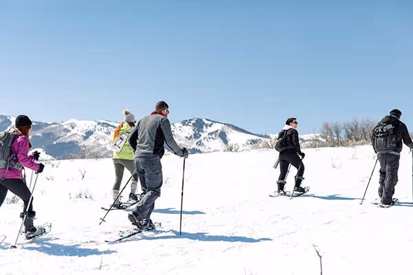 Snowshoeing