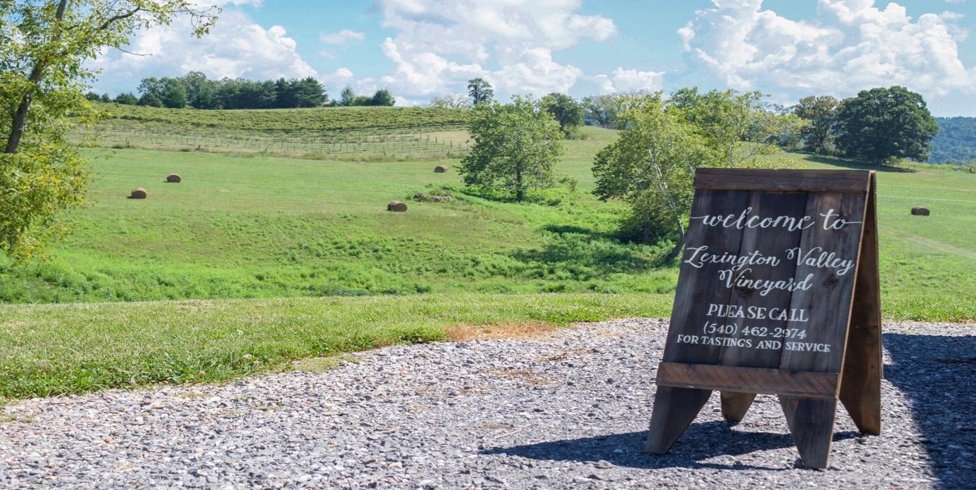 Lexington Valley Vineyards