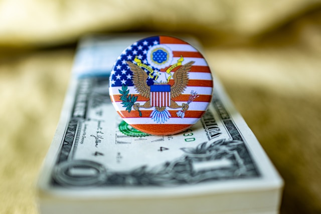 usa pin with dollar bills