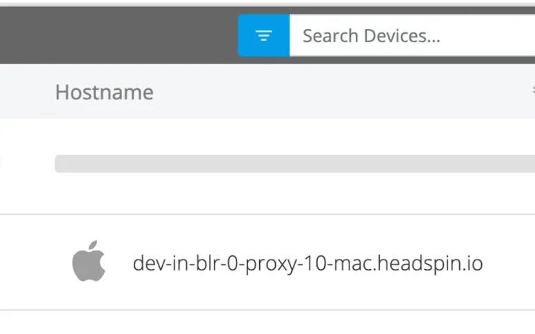 Verify hostname